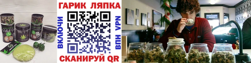 Купить где  Пугачёв  Canna-Cookies конопля 