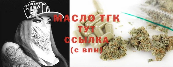 ECSTASY Дмитриев