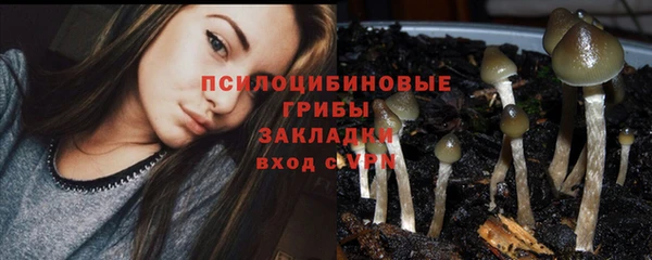 ECSTASY Дмитриев