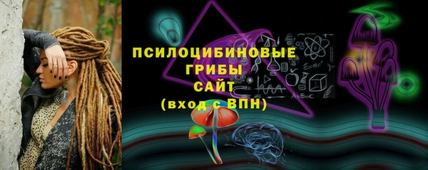 PSILOCYBIN Дмитров